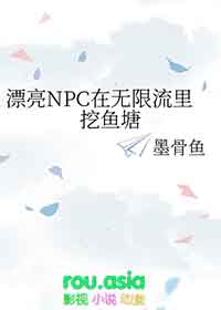 NPC在无限流里挖鱼塘